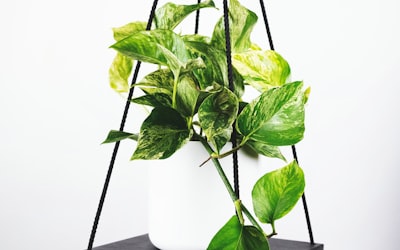 世界杯比赛用球官方展示会现场